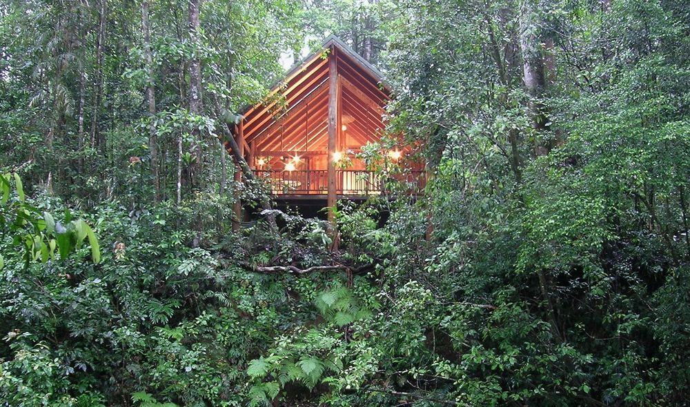 The Canopy Rainforest Treehouses & Wildlife Sanctuary Tarzali Kültér fotó